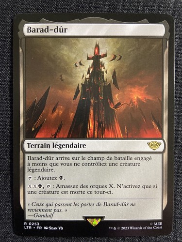 Carte magic seigneur des - magic,