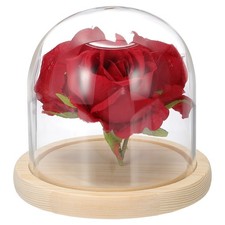 Pour cloche en verre de 4,7" x