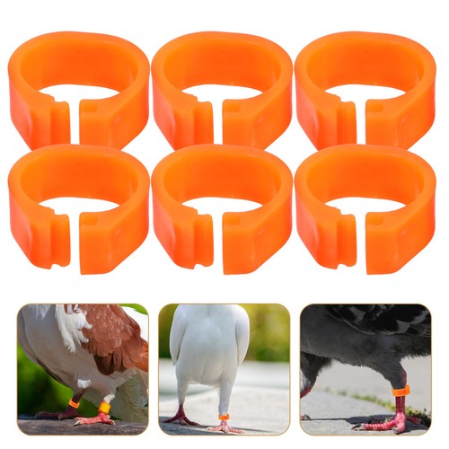 100 pcs anneaux - 100,