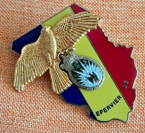 Insigne opex tchad 13ème - insigne, rdp