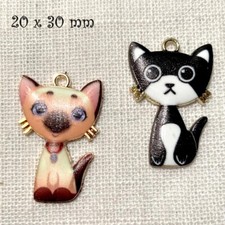 Lot de 2 - CHARM BRELOQUE