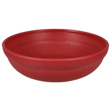  Nid de pigeon d'élevage bol