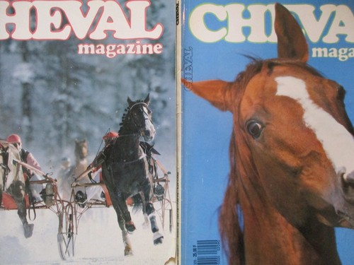 Lot cheval magazine - lot, (1989)
