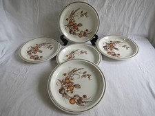 5 assiettes plates faïencerie