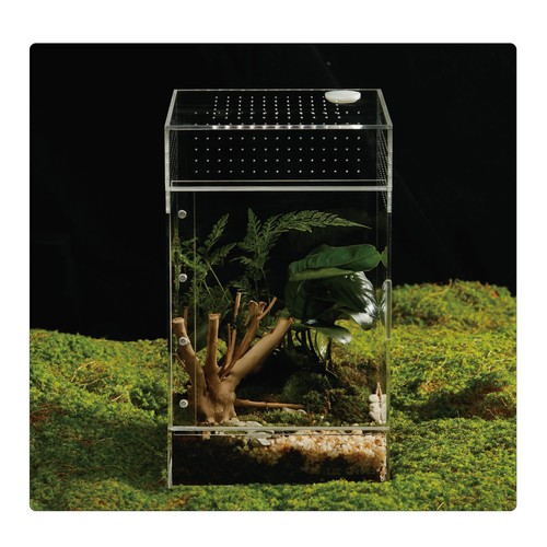 Acrylic terrarium for - terrarium, reptiles