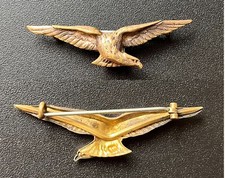 Aviation : aigle fantaisie en