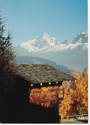 Vallée chamonix mazot - vallée,