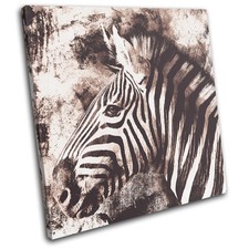 Zebra Vintage Shabby Chic