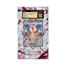 Vitrine Carte de Protection