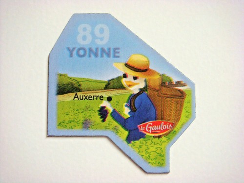 Magnet gaulois ancienne - magnet,