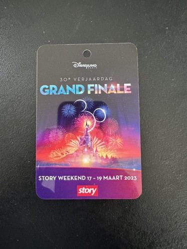 Badge disneyland paris ans - badge,