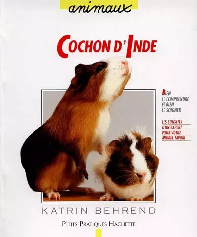 Cochon inde bien le - d'inde, :