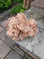 Rose des sables  Pierre du désert Vintage