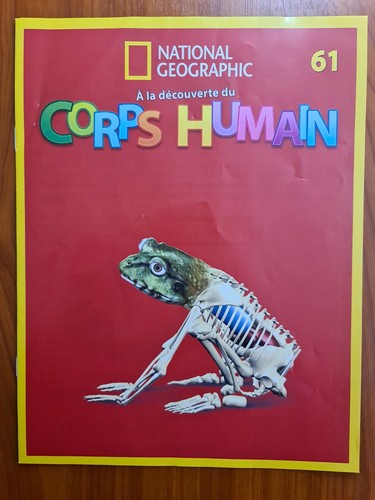 Découverte du corps - a,