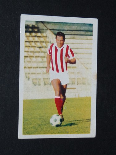 Andre tassone ac ajaccio - #14,