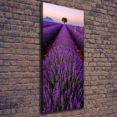 Tulup tableau sur toile image - sur,
