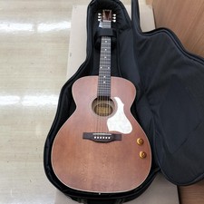 Guitare acoustique électrique