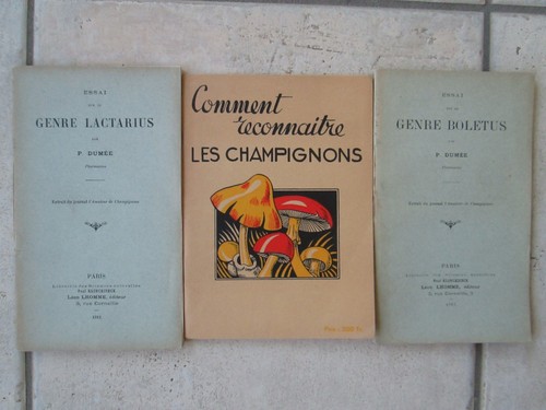 Lot champignons genre - [lot, champignons]