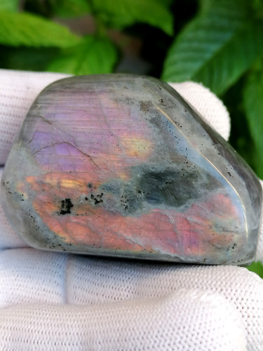 Labradorite forme libre polie