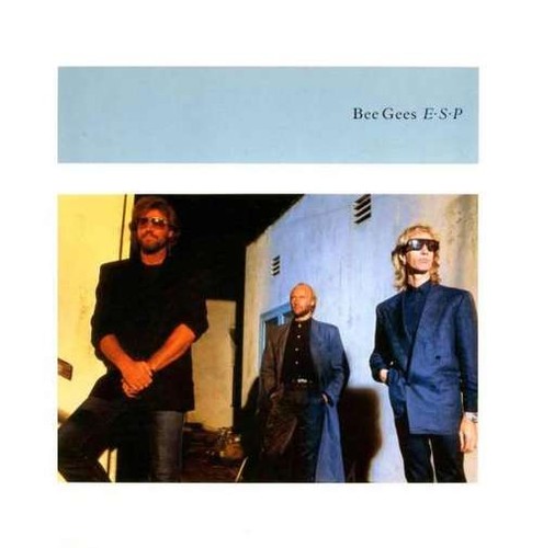 Disque vinyle maxi bee gees - vinyle,