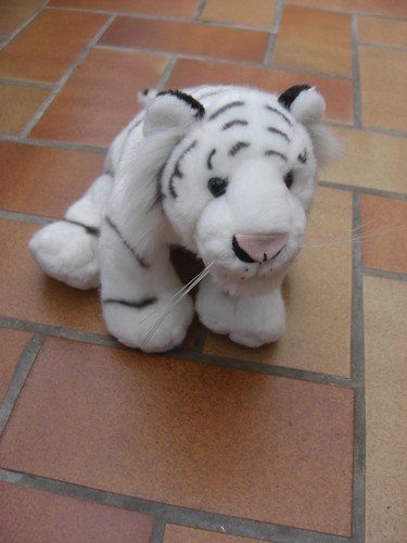 Belle peluche tigre blanc - peluche, à