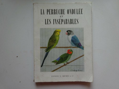 Perruche ondulée les - perruche,