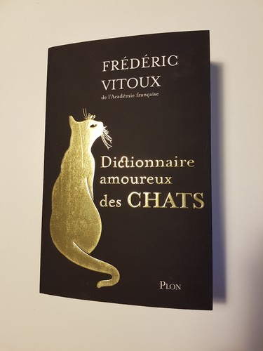 Livre dictionnaire amoureux - dictionnaire,