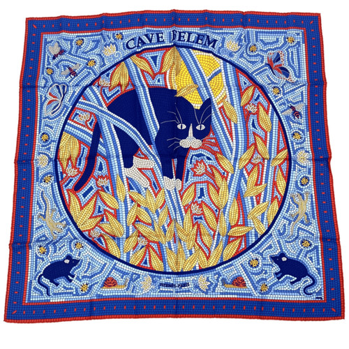 Foulard hermès carré cave - foulard,