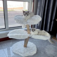 Arbre à chat fleur, tour en bois à étages, condo en peluche