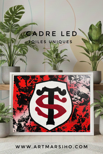 Stade toulousain - stade,