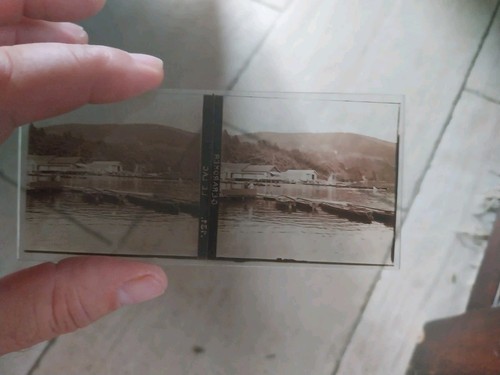 Plaque stereoscopique verre - stereoscopique, en