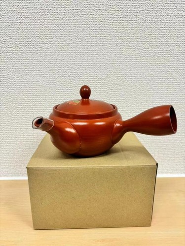 Théière japonaise tokoname - théière,