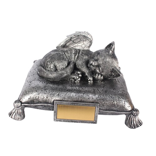 Chat dormant sur oreiller - chat, un
