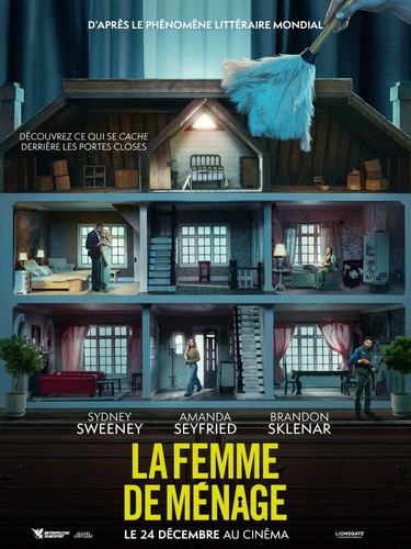 Femme menage affiche - femme,