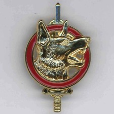 Brevet  MAITRE CHIEN CT2 Degré OR ( Berger Allemand ) GS 44 Drago