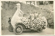 CARTE POSTALE PHOTO // LE VAR // SALERNES CHAR FLEURI