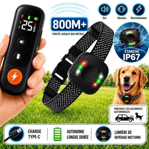 Collier dressage chien - collier,