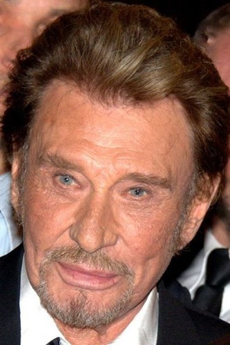 Photo johnny hallyday rock - johnny,