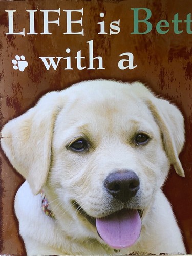 New life better with - life,