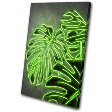Monstera Exotic Neon Street
