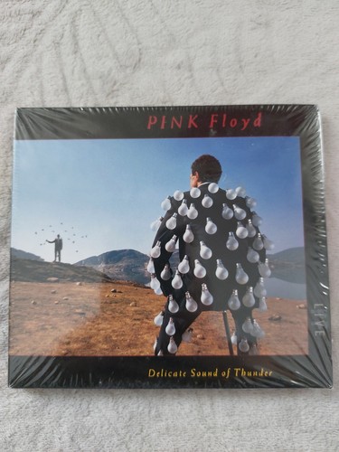 2cd pink floyd delicate sound - pink,