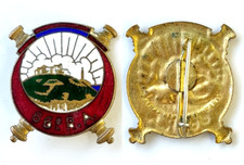 INSIGNE AFN 66° RAA RÉGIMENT