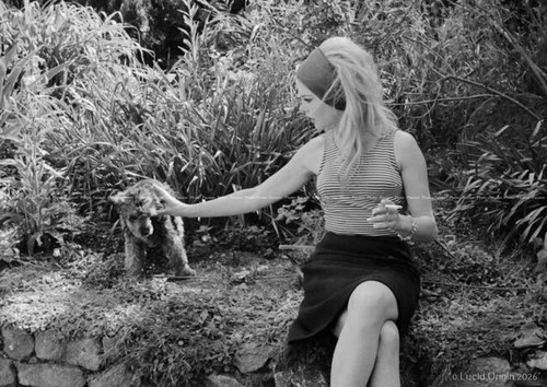 Photo brigitte bardot - brigitte,