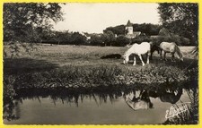 cpsm 61 Village de CONDEAU