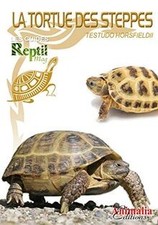 La tortue des steppes de