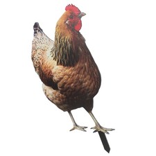  Deco Jardin Rigolote Décoration Poule Drôle Pieu Poulet Décoratif