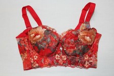Red lace embroidered push-up