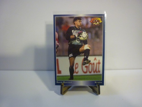 Carte foot panini official - foot,