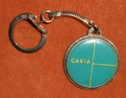 Porte clés cavia crédit auto - porte-clés,