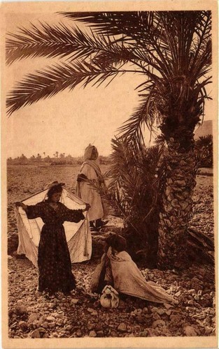Old postcard algeria - postcard, ak